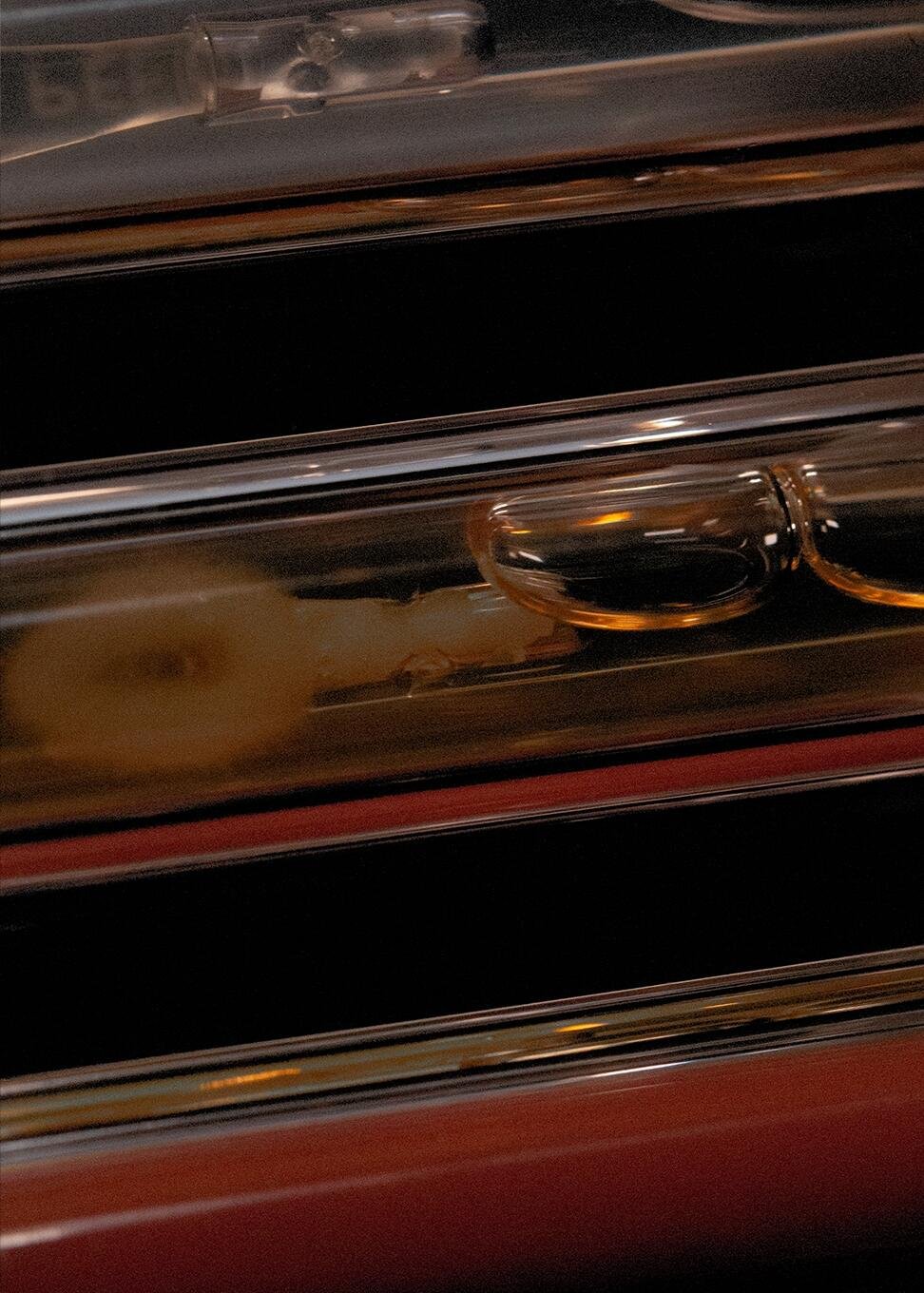 Lip Treatment Lip Care Trio CLE Cosmetics